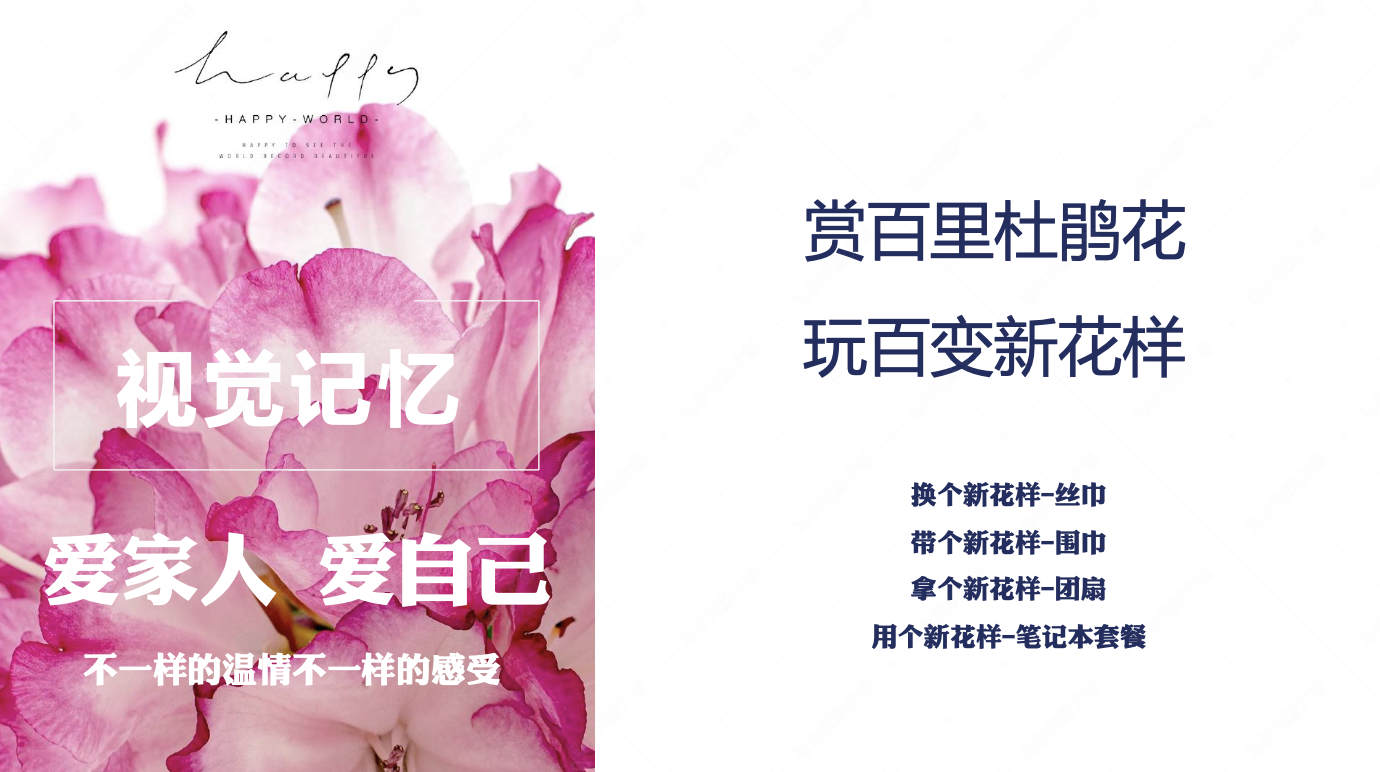 黔西文创-高山杜鹃产品设计案例