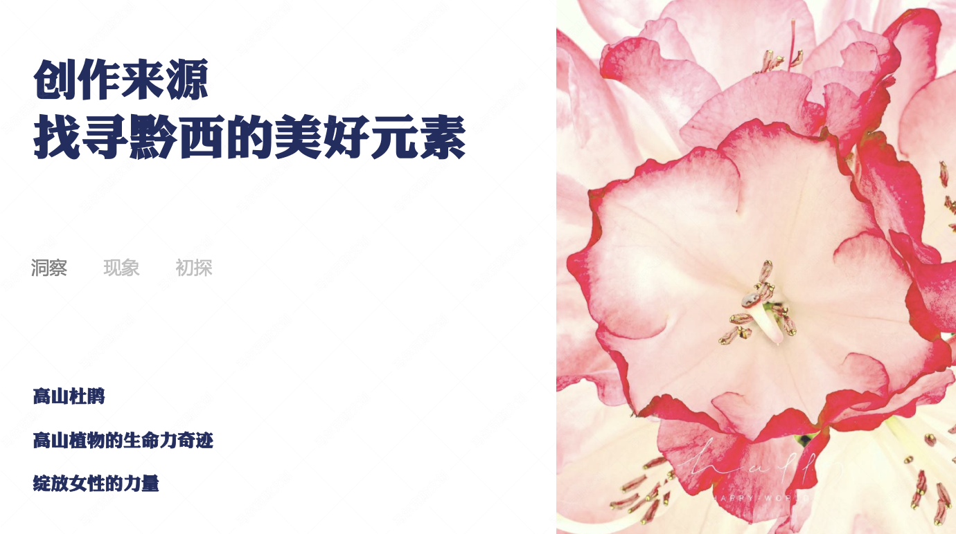 黔西文创-高山杜鹃产品设计案例