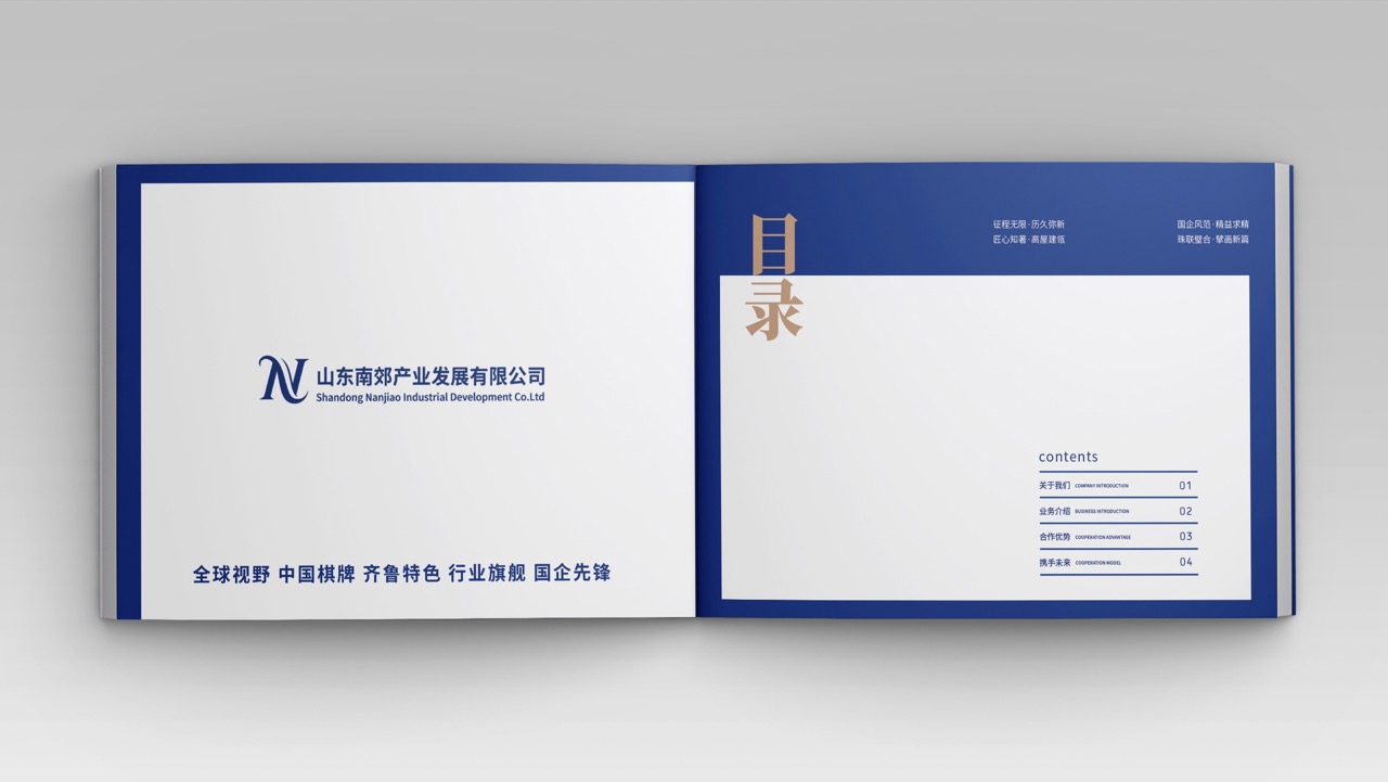 山东南郊集团品牌画册设计案例