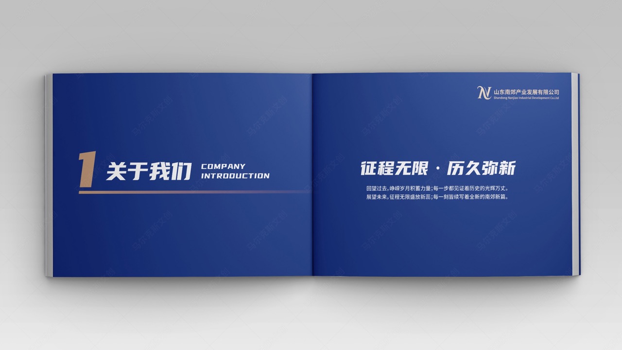 山东南郊集团品牌画册设计案例