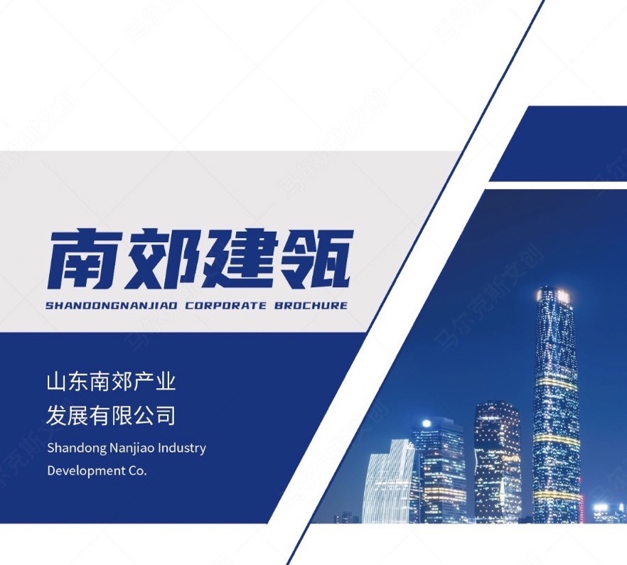 山东南郊集团品牌画册设计案例