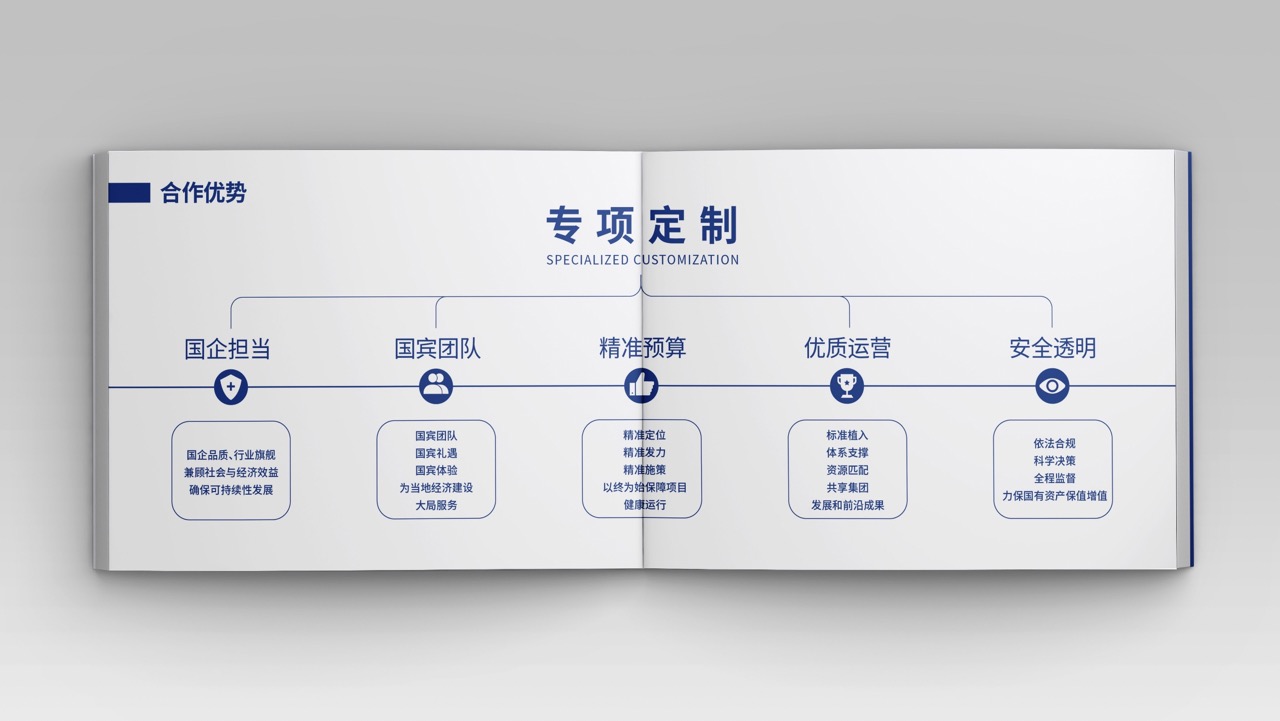 山东南郊集团品牌画册设计案例