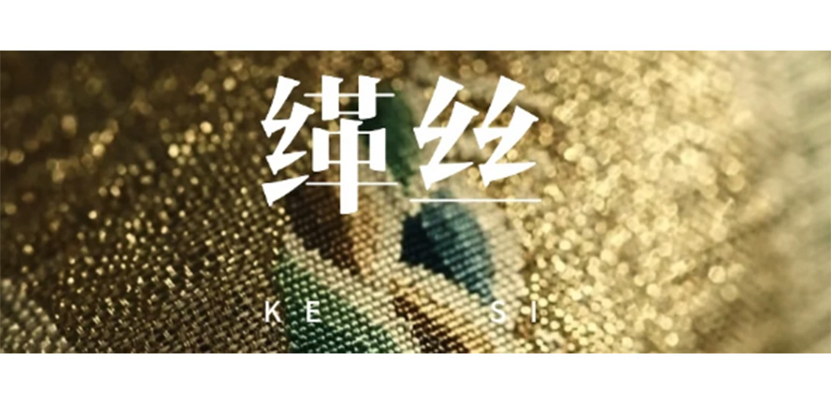 只有龙袍才配得上的工艺-缂丝