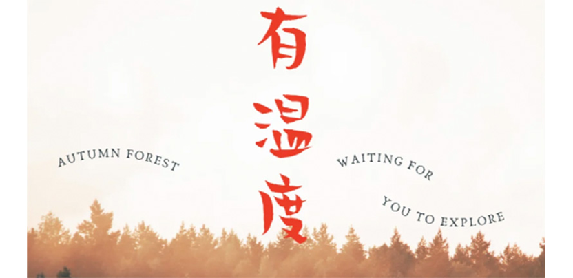 设计的温度 ｜ 器物之间的微妙情感关系