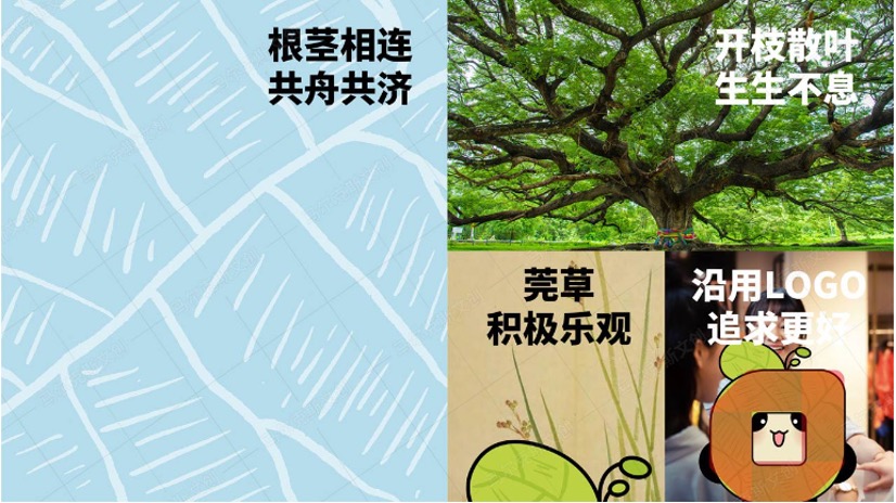 东莞农商行IP设计方案赏析