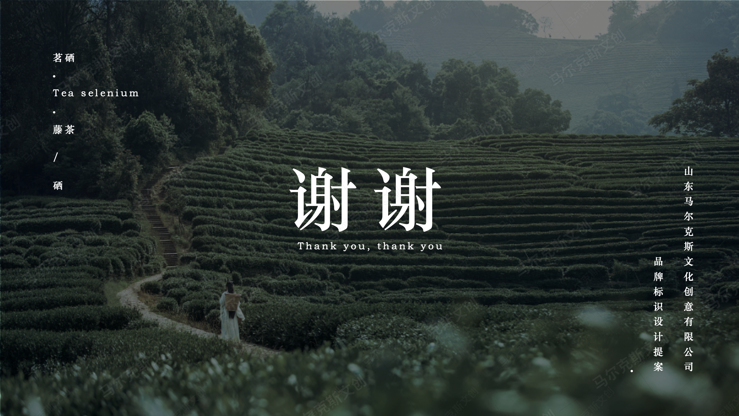 茗硒LOGO设计案例赏析