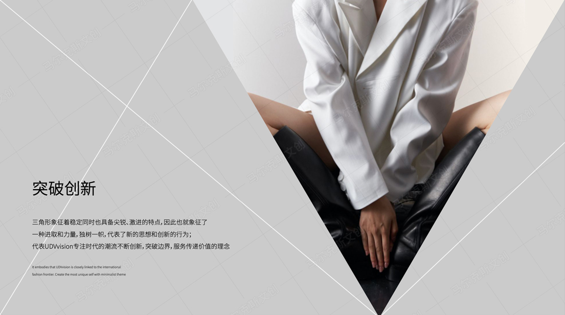 UDVvision高端女鞋品牌LOGO设计