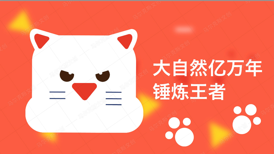 中海IP形象设计案例赏析