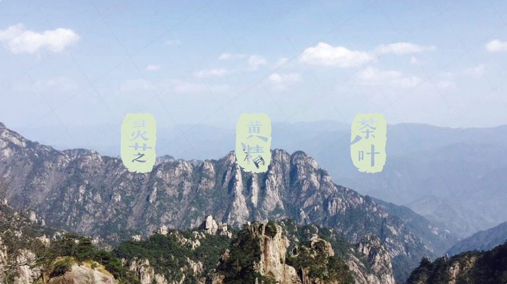 安徽旌德县灵芝·茶叶·黄精·城市伴手礼设计