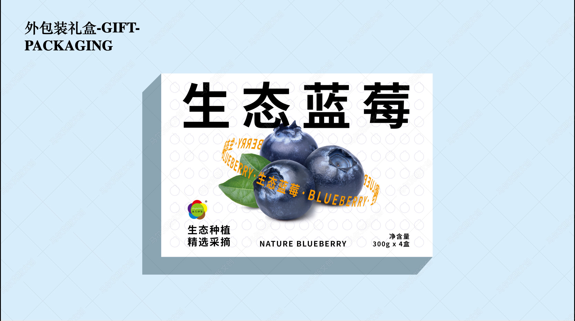 生态部落蓝莓包装设计案例赏析