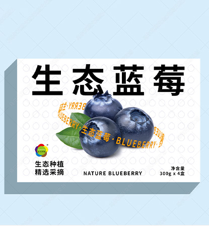 生态部落蓝莓包装设计案例赏析