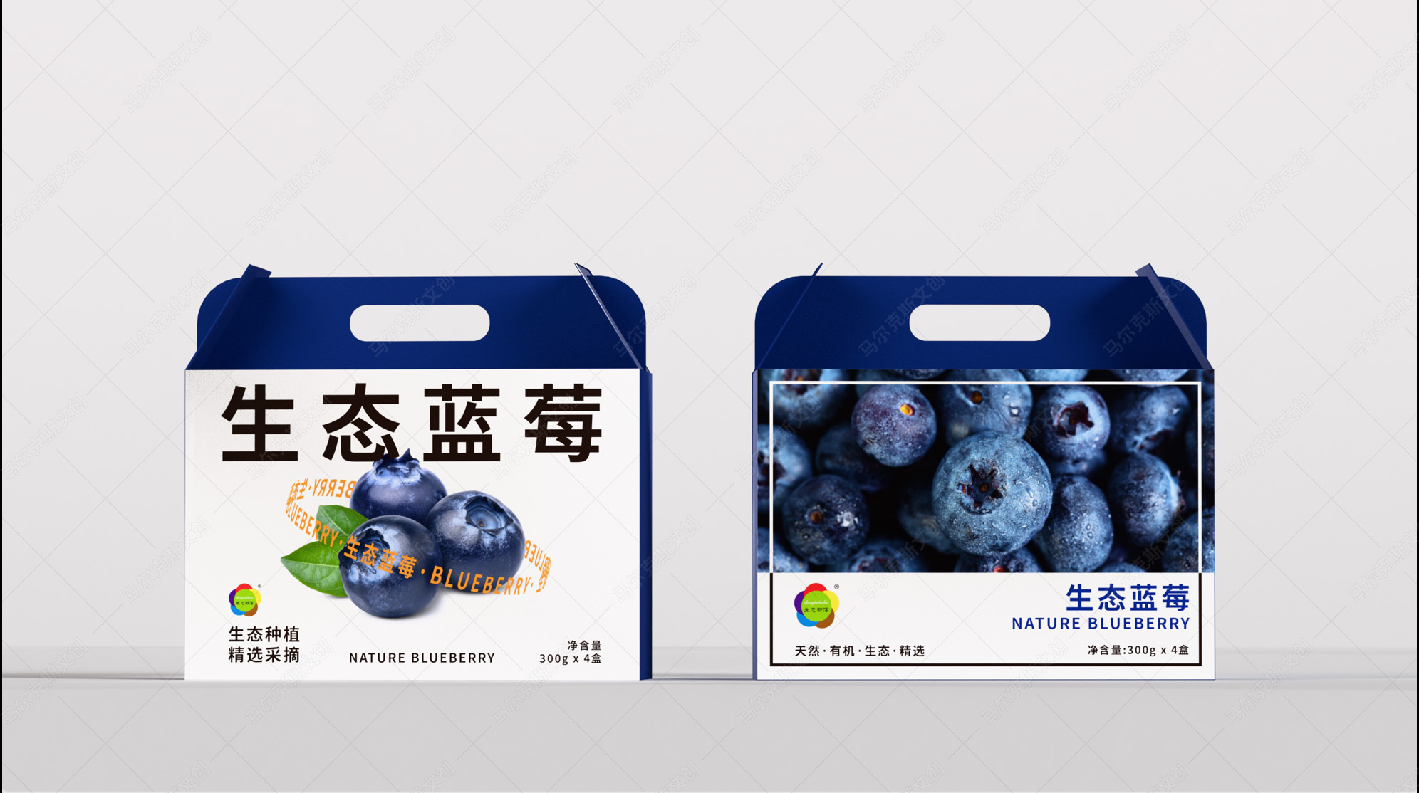 生态部落蓝莓包装设计案例赏析