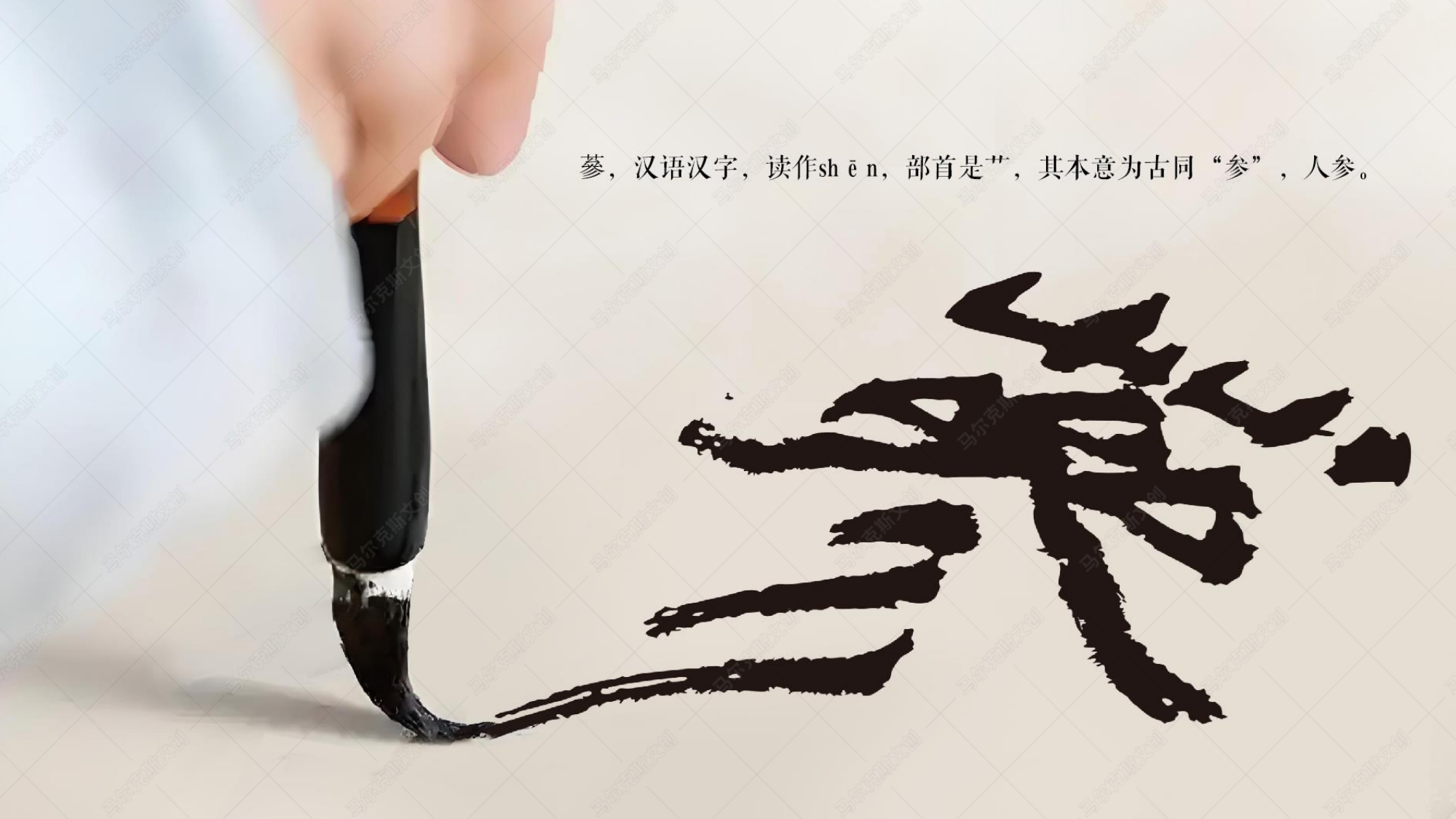 东阿阿胶20年野山参片包装设计案例赏析