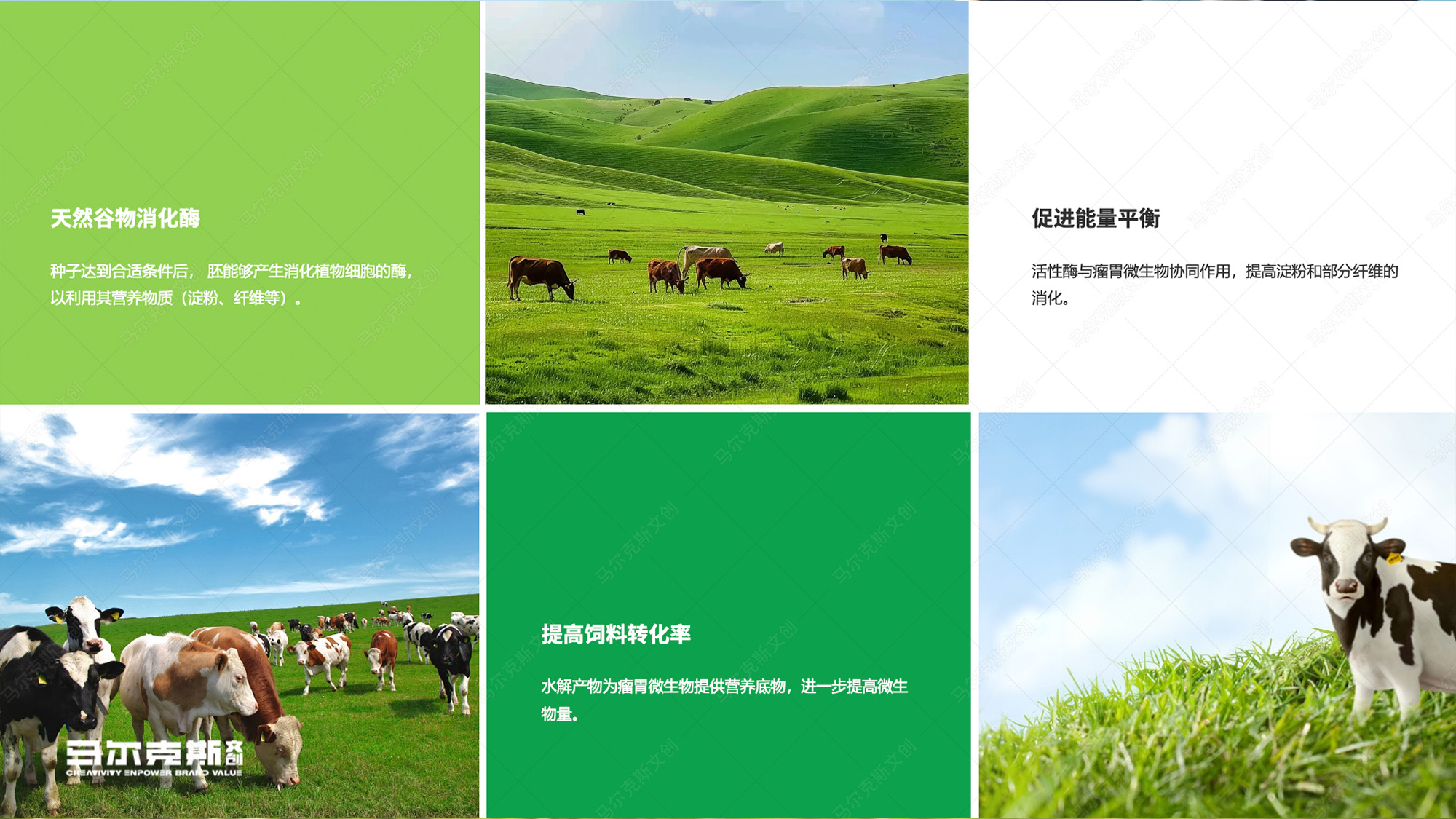 英联欧产康画册设计案例赏析