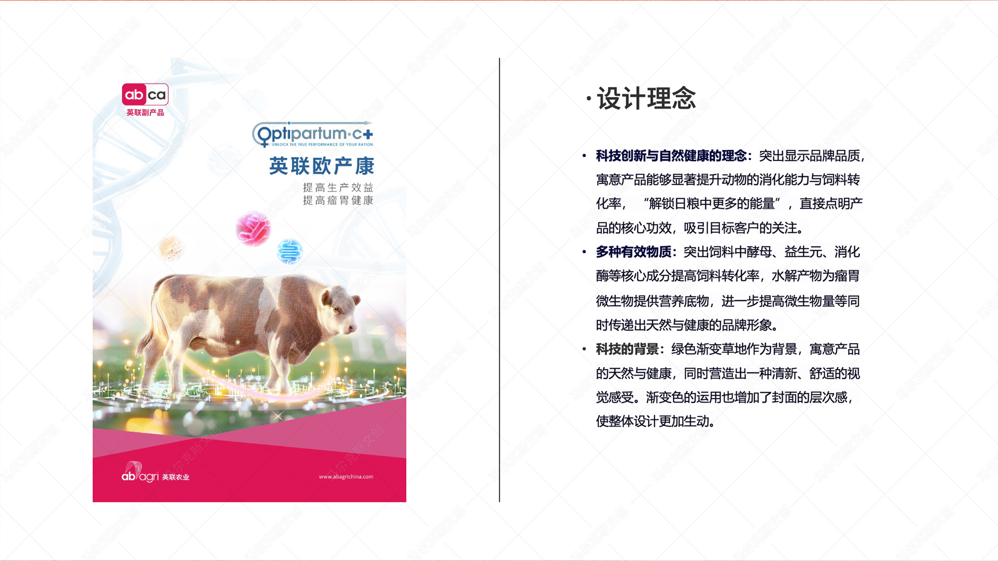 英联欧产康画册设计案例赏析