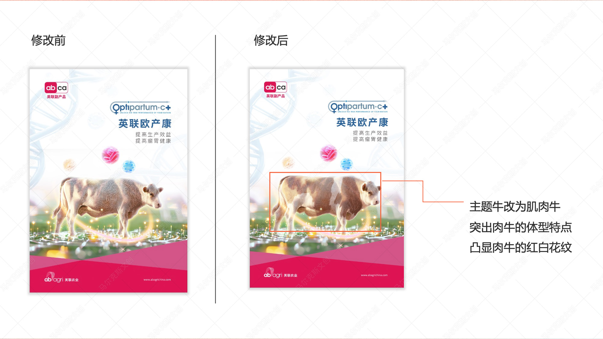 英联欧产康画册设计案例赏析