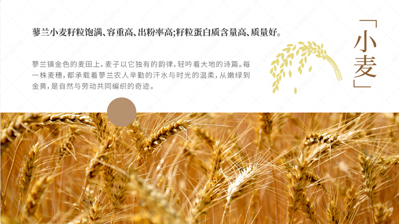 蓼兰优品农产品品牌标识设计案例赏析