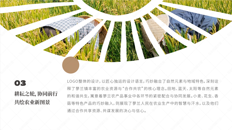 蓼兰优品农产品品牌标识设计案例赏析