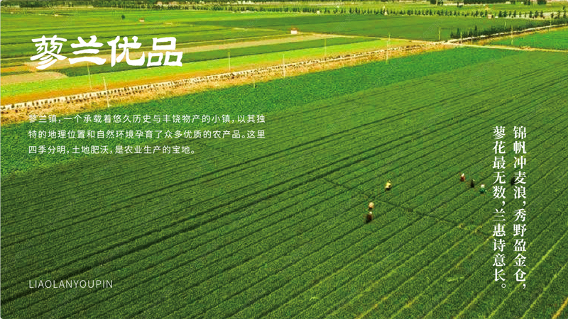 蓼兰优品农产品品牌标识设计案例赏析