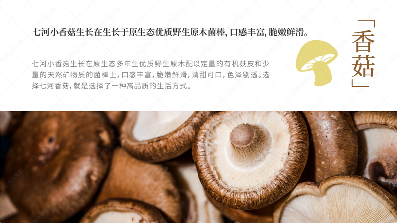 蓼兰优品农产品品牌标识设计案例赏析