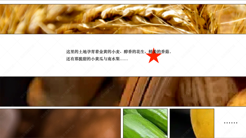 蓼兰优品农产品品牌策划案例赏析