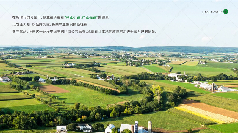 蓼兰优品农产品品牌策划案例赏析