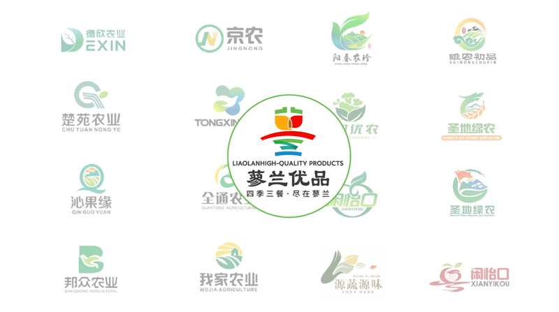 蓼兰优品品牌LOGO设计案例赏析