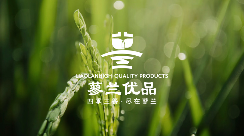 蓼兰优品品牌LOGO设计案例赏析