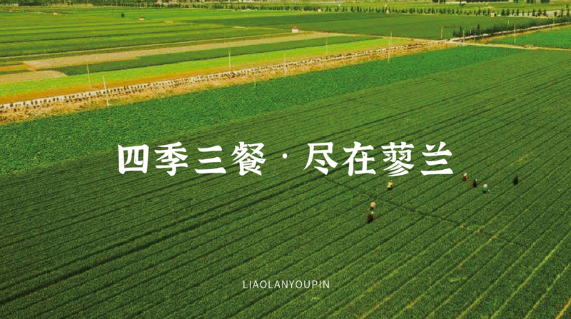 蓼兰优品品牌LOGO设计案例赏析