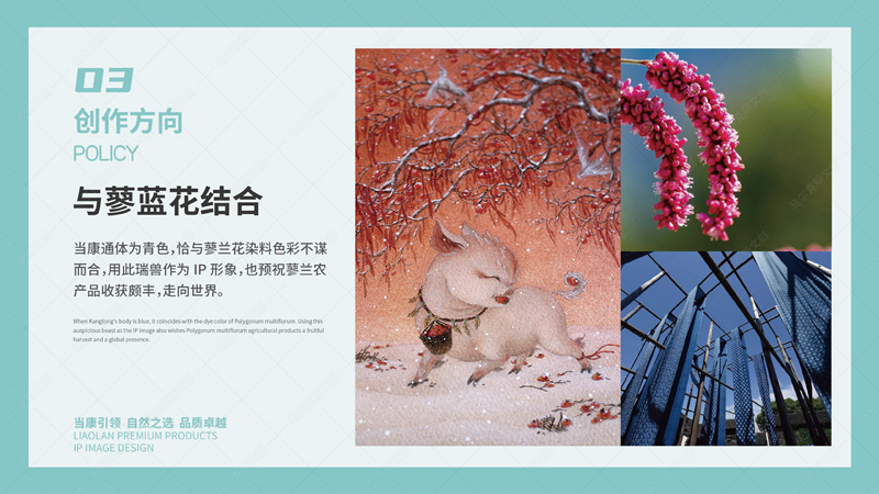 蓼兰优品品牌IP形象设计案例赏析