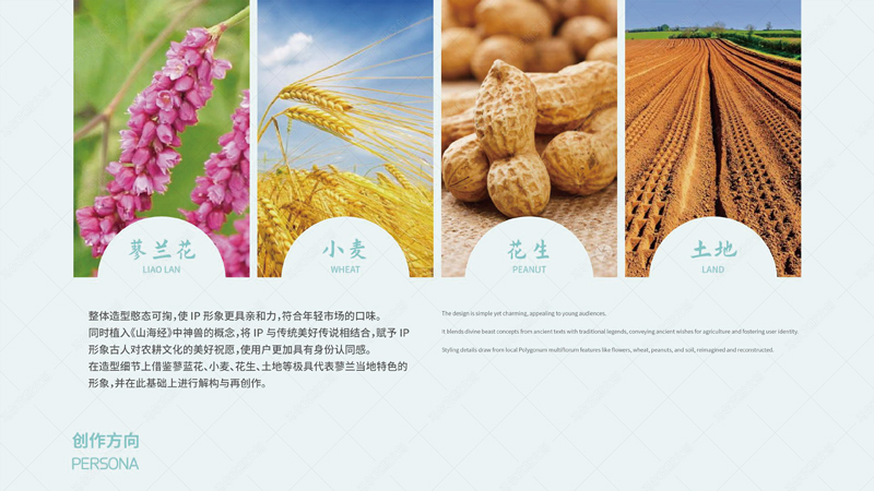 蓼兰优品品牌IP形象设计案例赏析