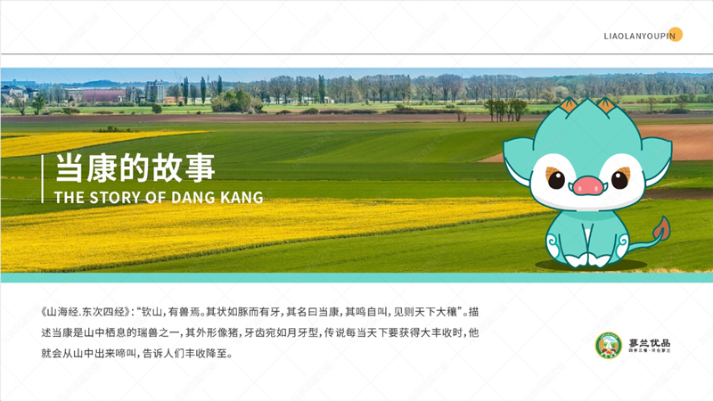 蓼兰优品品牌IP形象当康设计案例赏析