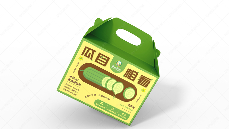蓼兰优品水果黄瓜产品包装设计