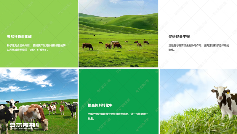 英联欧产康画册设计案例赏析