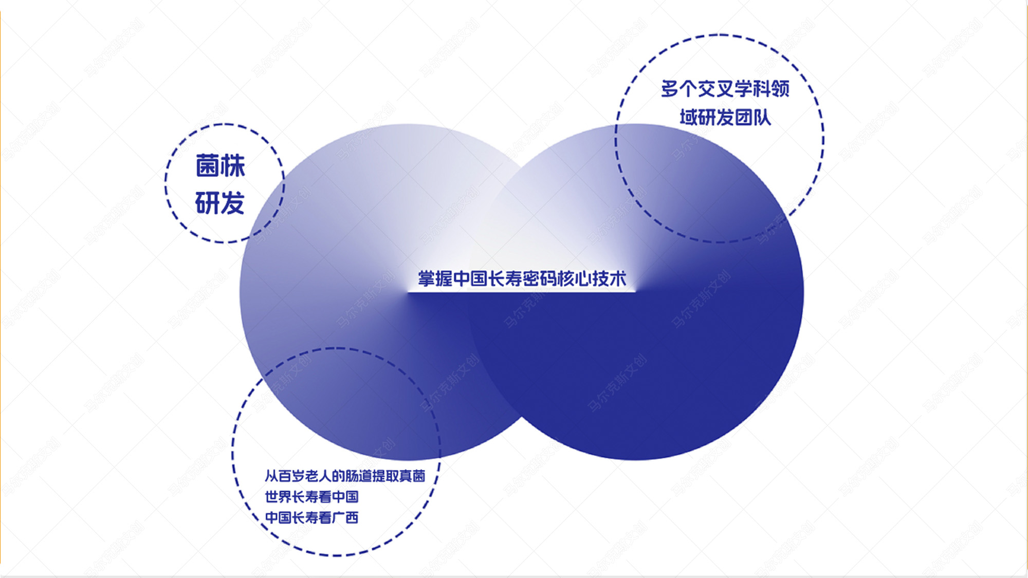 爱生生命益生菌包装案例赏析