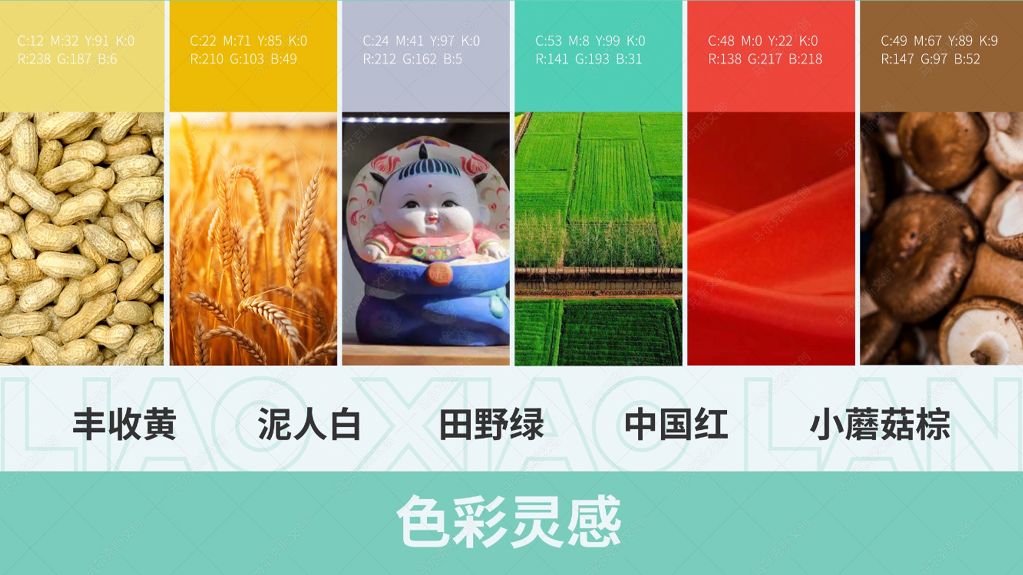 蓼兰优品品牌IP形象设计案例赏析