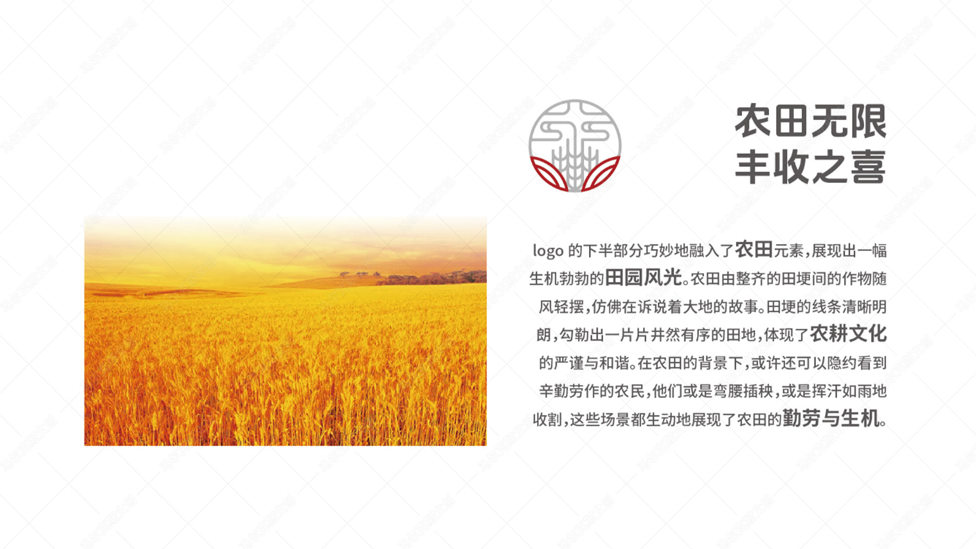 蓼兰优品品牌LOGO设计案例赏析