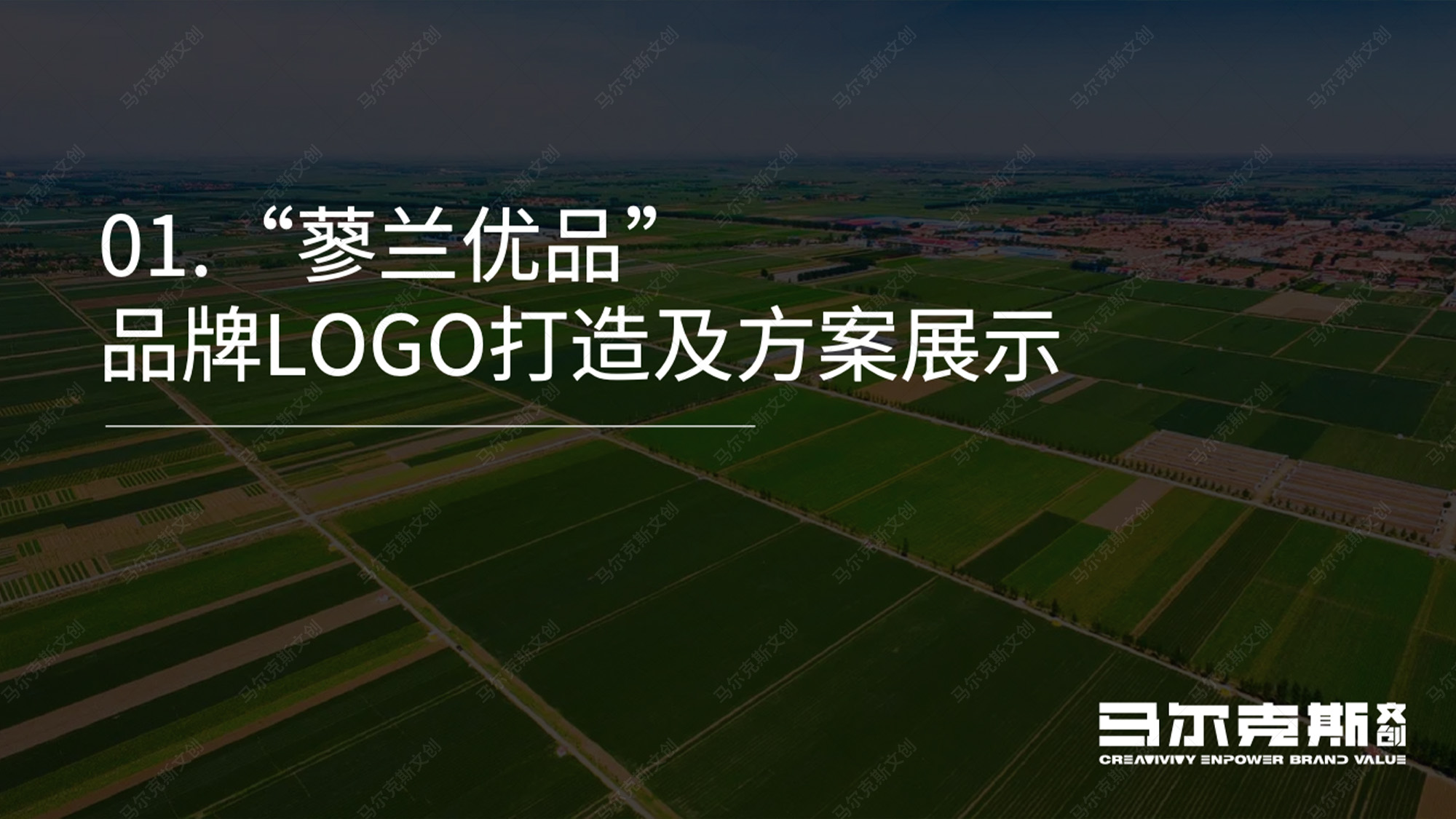 蓼兰优品品牌LOGO设计案例赏析