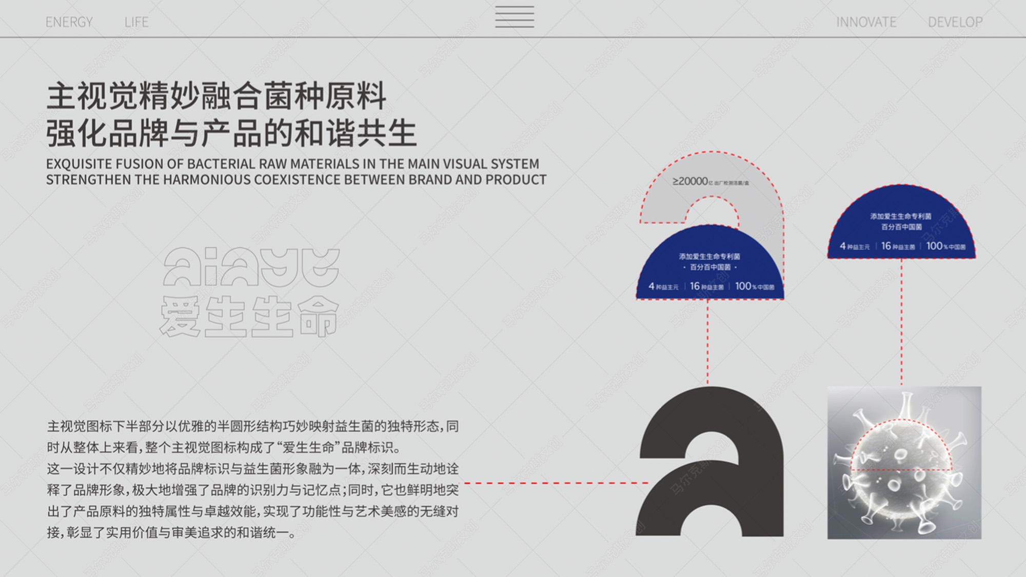 爱生生命益生菌包装案例赏析