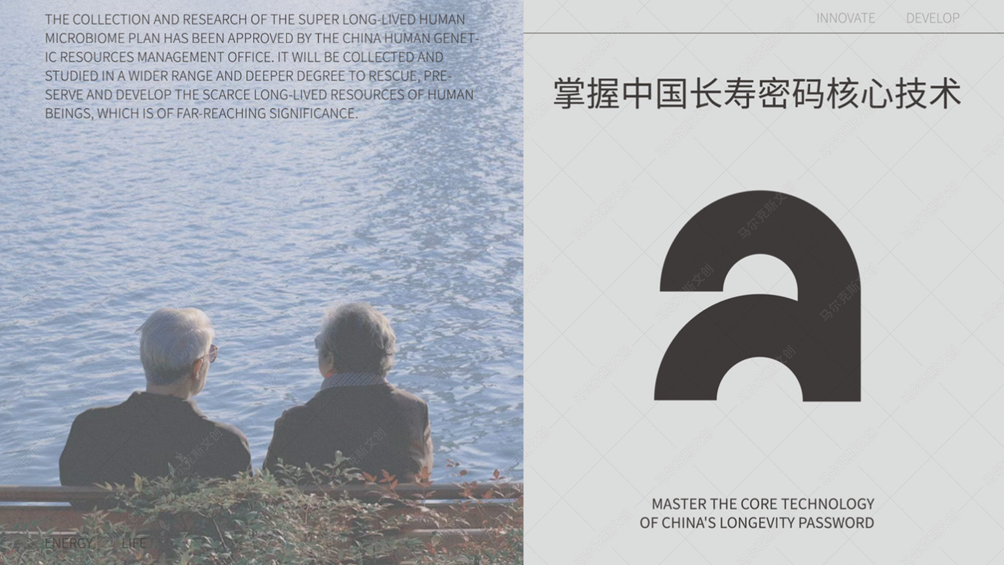 爱生生命益生菌包装案例赏析